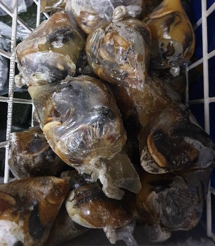 Escargot de côte d'ivoire congelé (380g)