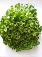 Salade Laitue (pièce)
