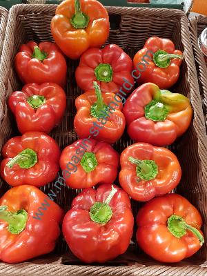 Poivron rouge en vrac 600g