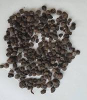 Nétetou, Simbara ou soumbala (50g)