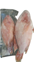 Carton Tilapia Rouge Moyen (4 kg)*