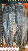 Chinchard surgele (2kg)*