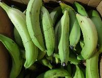 Plantain ou aloco vert (5kg)