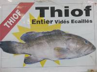 Thiof avec tête, (Mérou) 10kg*