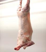 Mouton entier, Halal plus  fressure (22-25 kg)