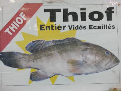 Thiof, mérou avec tête surgelés (4kg)*