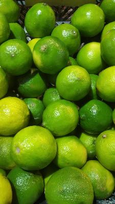 Citron vert (500g)