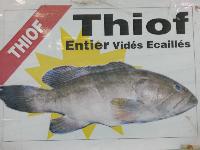 Thiof, mérou sans tête surgelés (4kg)*