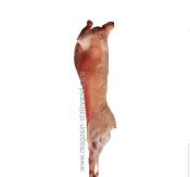 Viande d'Agneau entier halal, plus fressure (18-20kg)