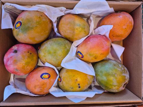 Mangue fois 9 ou 3kg. 