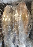 Poisson Sompat congelé (2,4kg)
