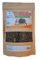 Graines de papaye séchées