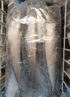 Maquereau entier, surgelée (1kg)