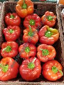 Poivron rouge en vrac 600g