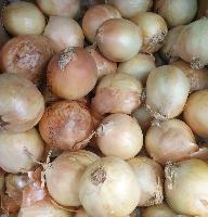 Oignon en vrac (1kg)