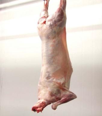 Viande de Chèvre entier, Halal  (22-25 kg)