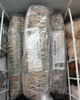 Miondo surgelé (Pâte de manioc)