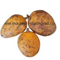 Madd ou zaban frais, 450g.