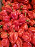 Piment rouge frais (100g)