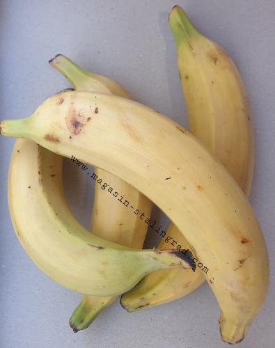 Banane plantain ou aloco jaune (1,2kg)