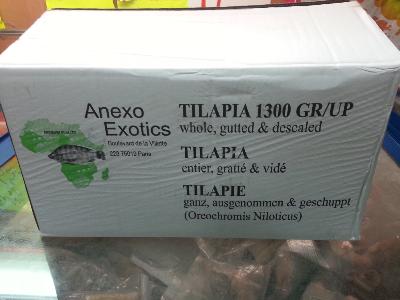 Carton tilapia Gros (10kg)*